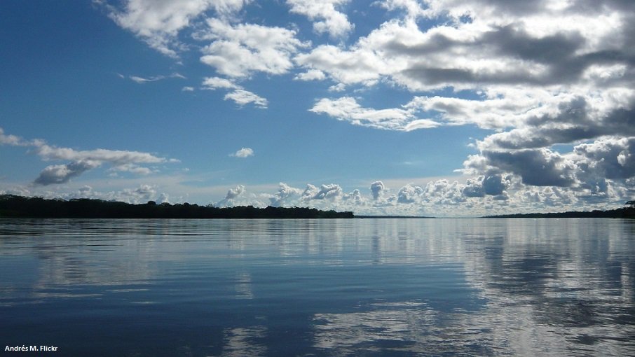 UNEP's tweet photo. Despite recent efforts to tackle degradation and deforestation, the Amazon's survival is still at threat. More: https://t.co/sAQINtIAMq https://t.co/Dhc2874qus
