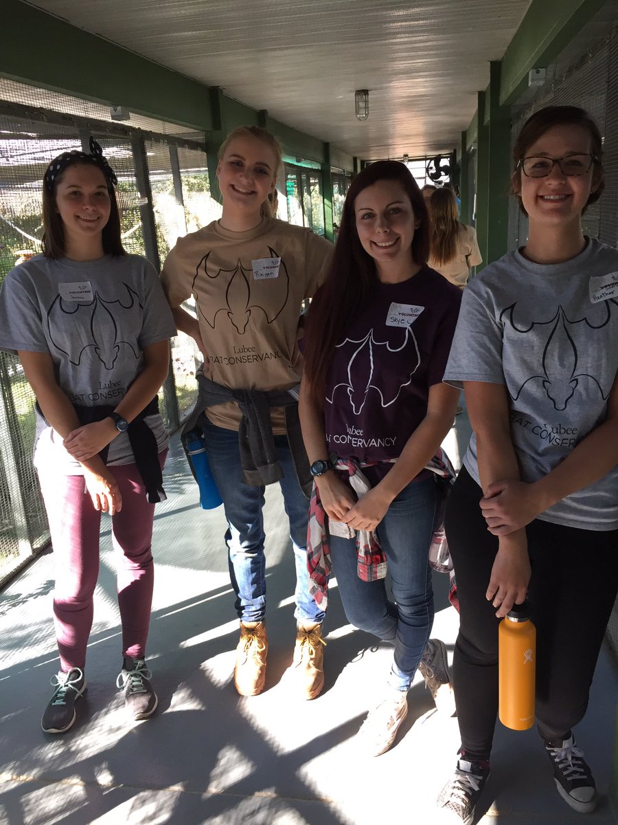 BatConservancy's tweet photo. No event like this can be done without dedicated staff and volunteers. Huge hugs to all of you! See everyone next year! #batfest2016 https://t.co/LDvXBTNXRv