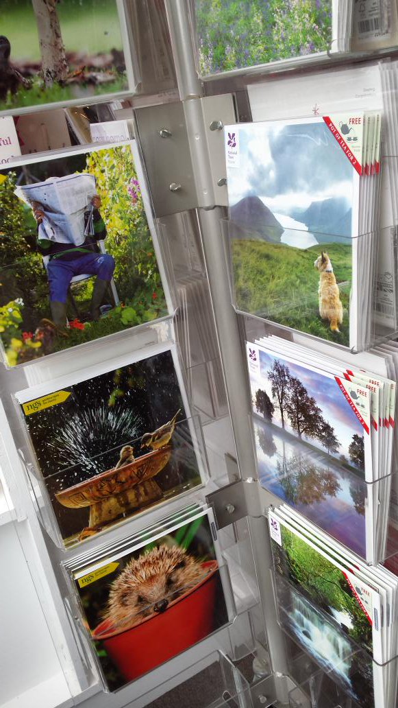 ChingfordBooks's tweet photo. So exciting to be the new stockist for Woodmansterne greeting cards!! Selection now in stock 😊 #MagicOfLocalShops ❤ #ShopSmallWhereYouCan ❤ https://t.co/LgWNnIU75W