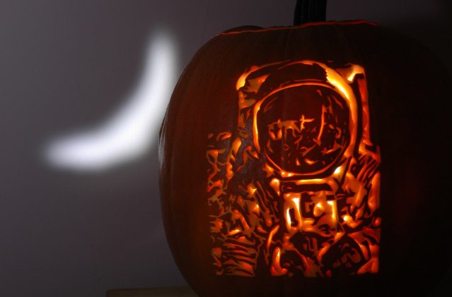 CommanderMLA's tweet photo. Happy #NationalPumpkinDay https://t.co/9dmDMEtvDu