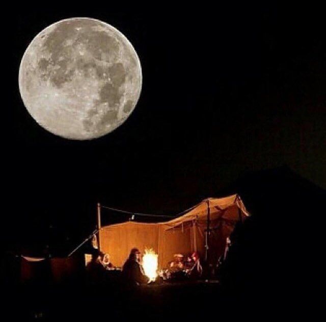 تمسي عيون المولع على حلم الوصال
ويصبح عيونه حزينه وتقرِع عبرته ؛)
ٰ
#عتب 💤