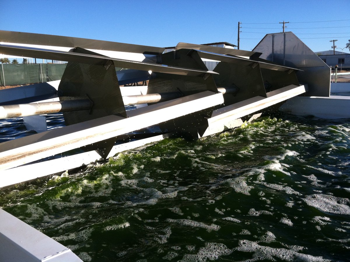 jamcgowen's tweet photo. Got #algae? 2016 Algae Biomass Summit next week! Excited to be hosting the Industry Tour on 10/26. Green and ready to go! #atp3, @ASU_AzCATI https://t.co/UjZfQCtuqG