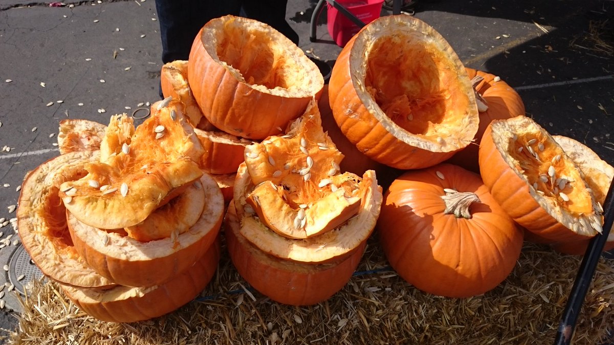 StarrKingPTA's tweet photo. Oh the pumpkin-manity! https://t.co/9uSzErSeuz