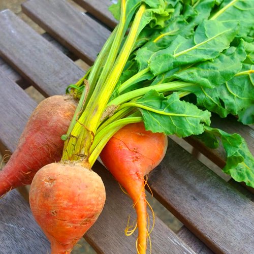 just_beet_it's tweet photo. Did you know the beet is edible from root to leaf? Heck yes it is! For more tips &amp; recipes: https://t.co/B4ALYCzt62 #beets #beetroot #recipe https://t.co/R4Er4jOBil