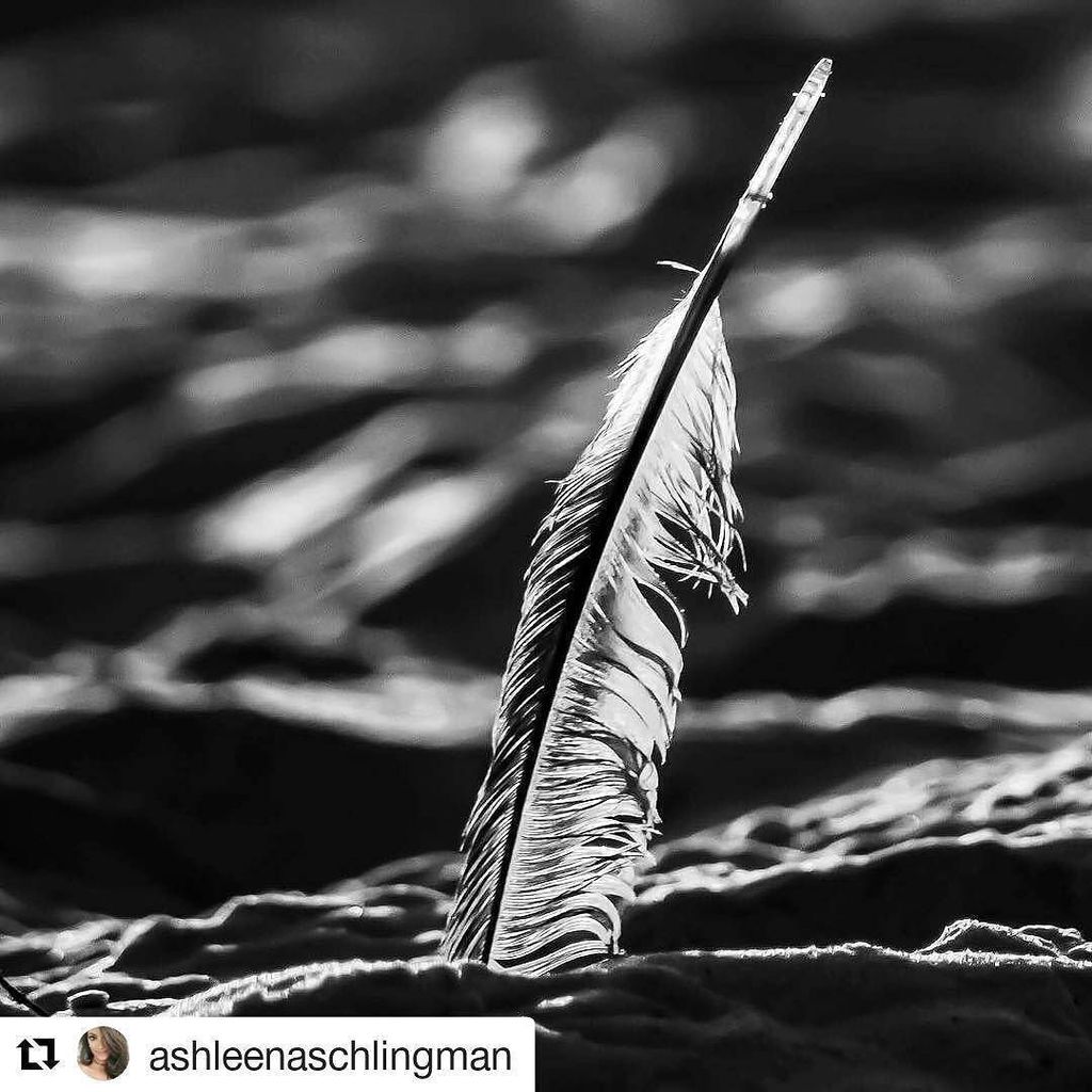 visualartba's tweet image. Happy Saturday for everyone! #Repost @ashleenaschlingman by #VisualArtBA
・・・
"We have to d… ift.tt/2evazZR