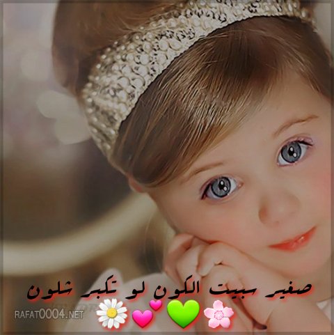 الكرادي ابو منتظر