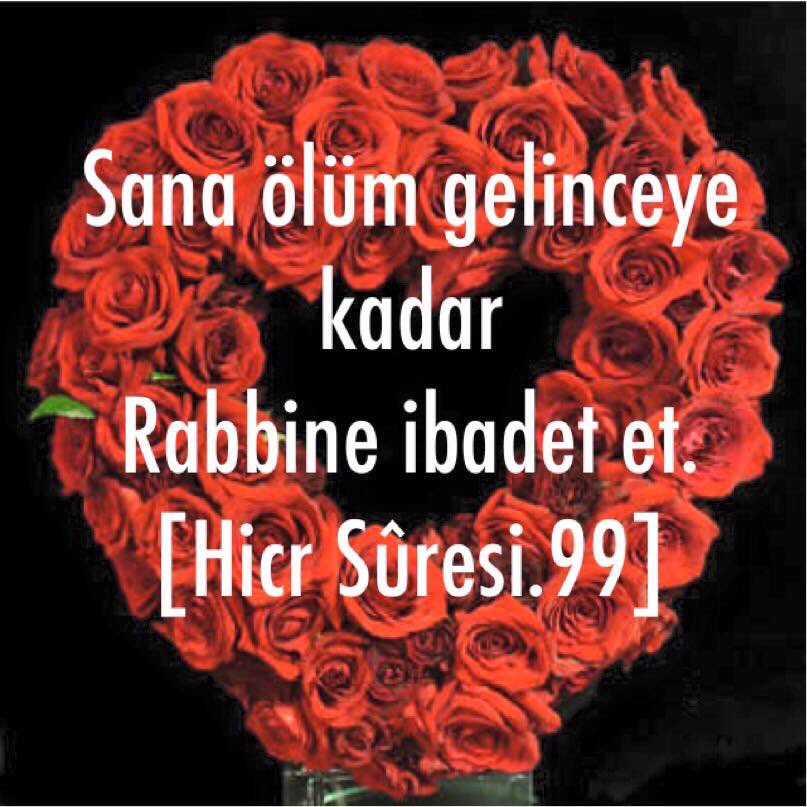 hadis_pinari tweet picture