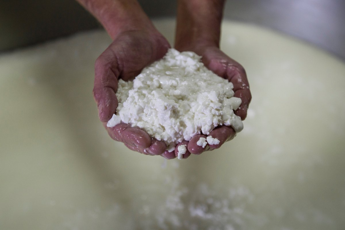 ¡¡Buenos días!!. Ya está la nueva web de <a href="/LACABEZUELA/">QUESOSLACABEZUELA</a>. Date una vuelta y disfrútala. quesoslacabezuela.com