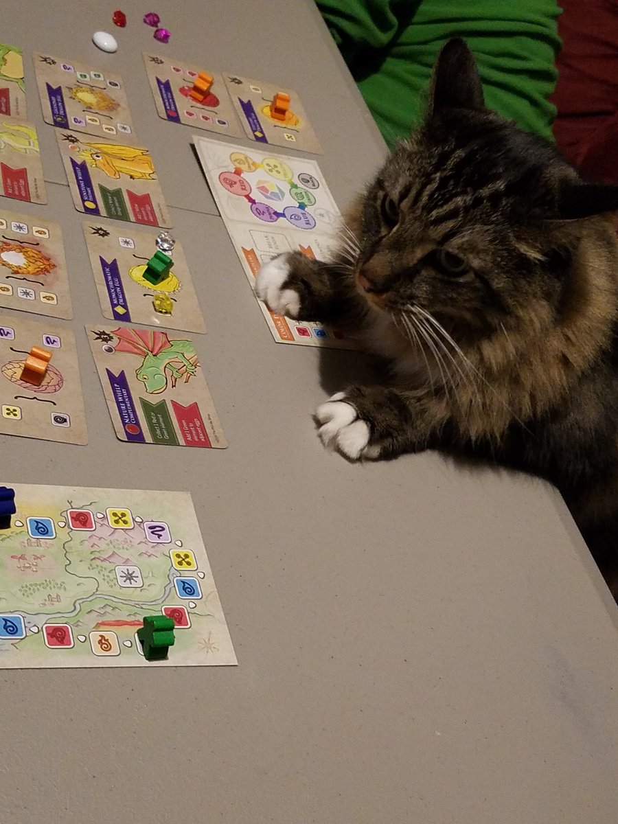 AlishaVolkman's tweet photo. Cat not impressed with wild dragon #UnderlingsOfUnderwing https://t.co/ZPljEkzHr1