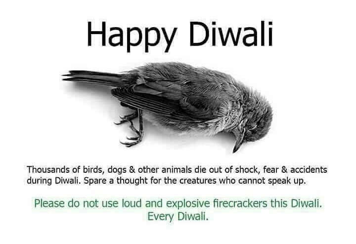 tejas_sudhakar's tweet image. Guys! Please note this.. crackers is just waste of money and harmful. #polutionfreediwali #Pawsitive #celebrationoflights #peacefuldiwali