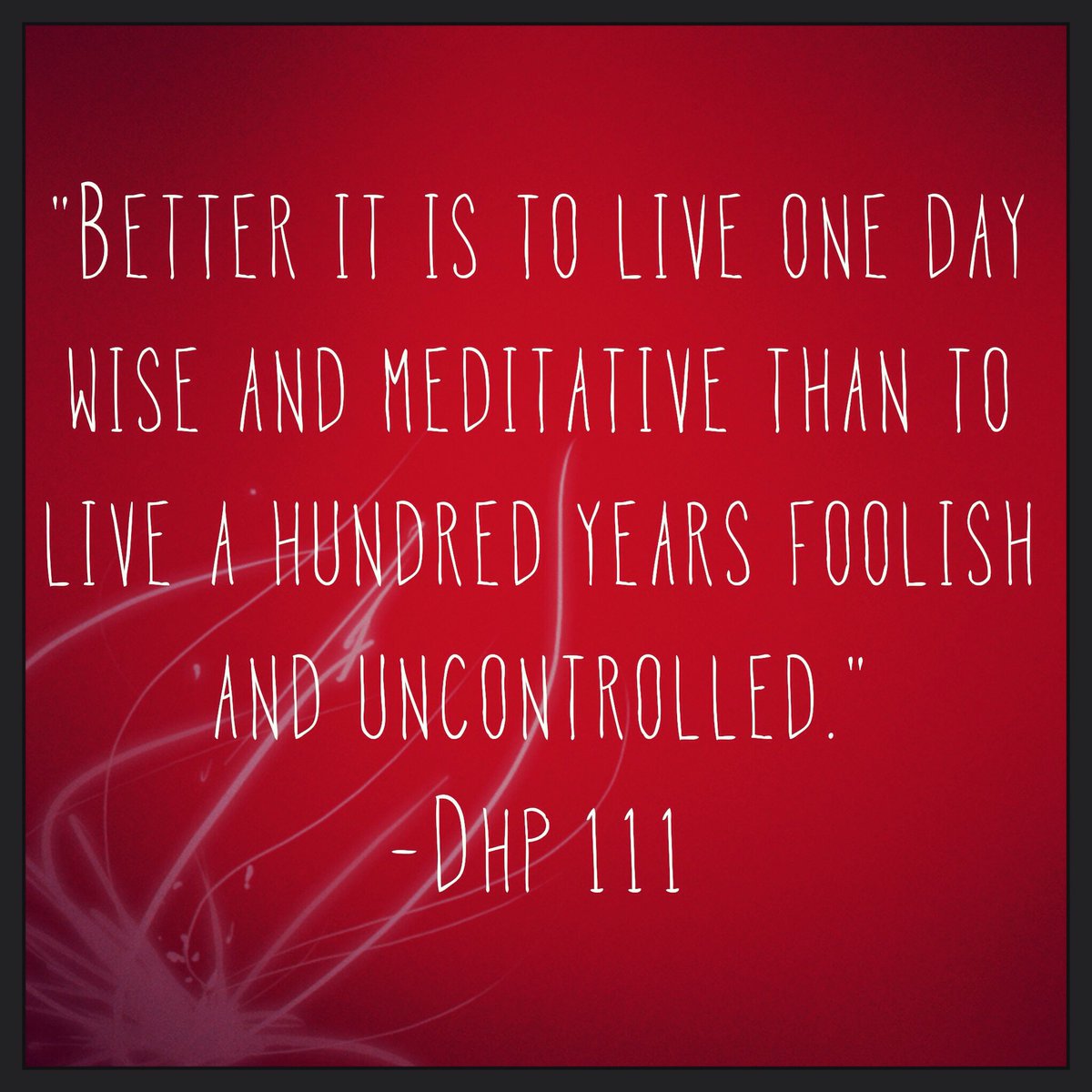 The Dhammapada tweet media
