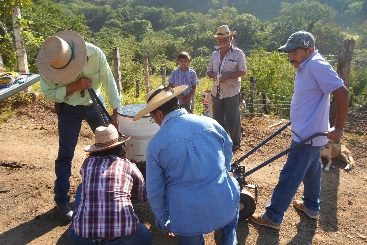 SalitoCabrera's tweet photo. @ACCIMMYT 
18/10/2016. Siembra con sembradora de tracción animal en Llano Grande Mpio de Quechultenango. https://t.co/fIAwiCGn5q