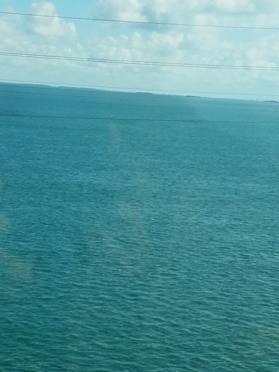 sinbinjmadison's tweet photo. I'm having so much fun on my marine biology trip in Florida! https://t.co/1TPDqqfD6d