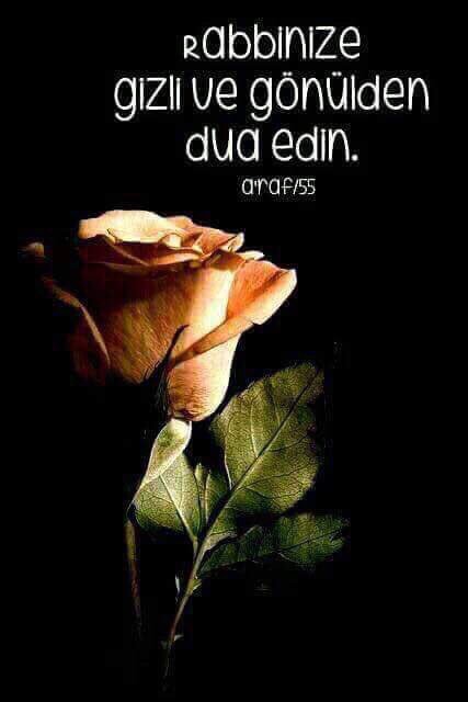 hadis_pinari tweet picture