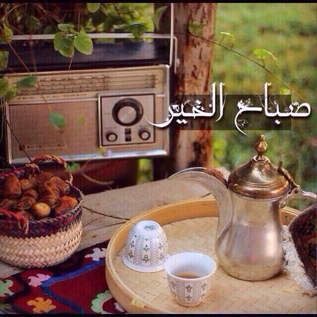 oth808's tweet image. يسعد صباحكم بكل خير 🌼