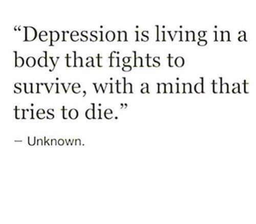 Kaitlyn K (@benjisquirrel) on Twitter photo 