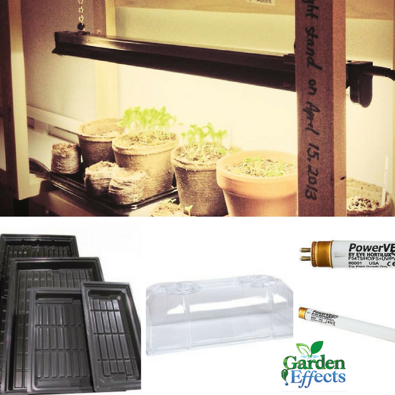 GardenEffect's tweet photo. Have you started your indoor garden?
We can help you create a nice setup #growlights #growingshow #gardeneffect #gfx
https://t.co/A7pmbXEAVg https://t.co/BAdV9gPdRs