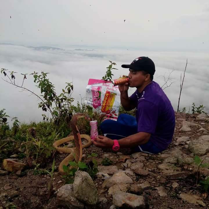 juzaliana87's tweet photo. King cobra pun support produk #datosrivida π #quputeh #pamoga #dsv #gegarvaganza3 https://t.co/Ru3NrZkiUh