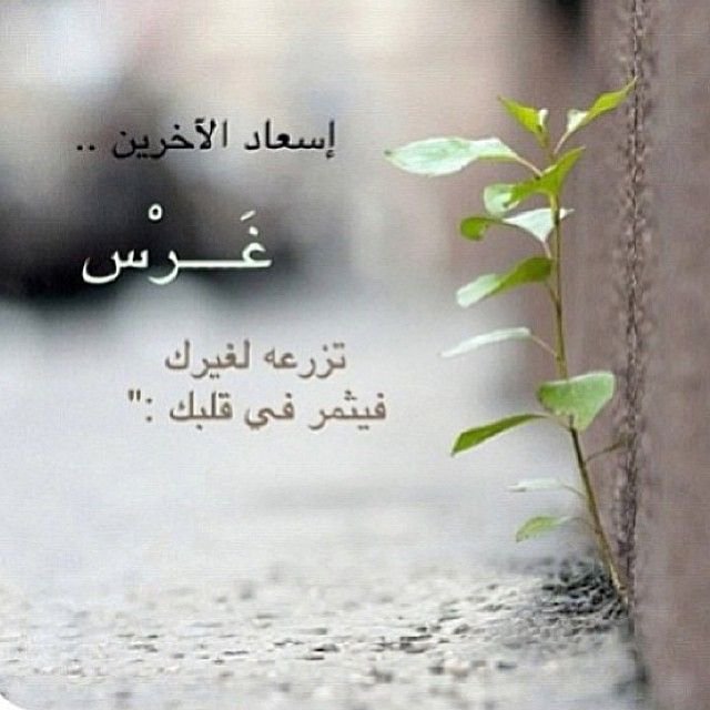 PicIslamic tweet picture