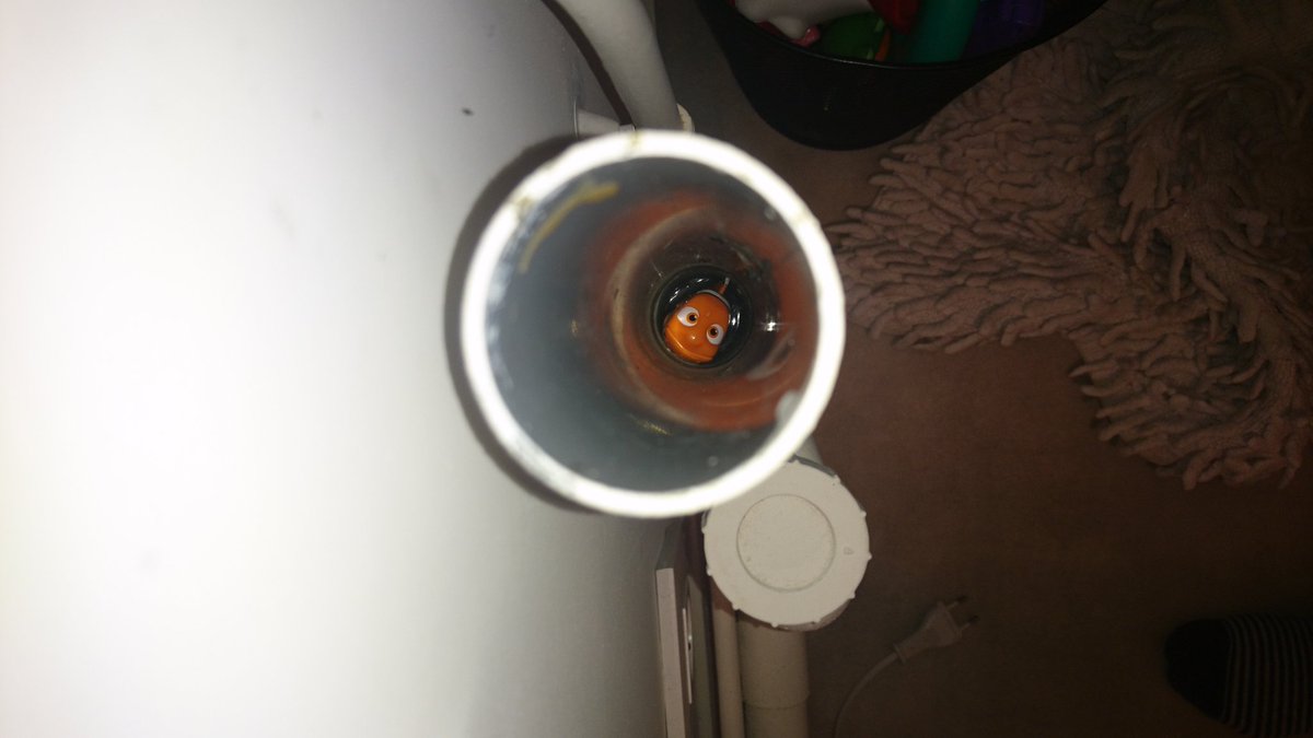 mariannedarmon's tweet photo. A 2 ans, mon fils semble avoir déjà tout compris de l'intrigue du Monde de Nemo #MiseEnApplication #RetrouverMarin https://t.co/AJH9NB7YOw