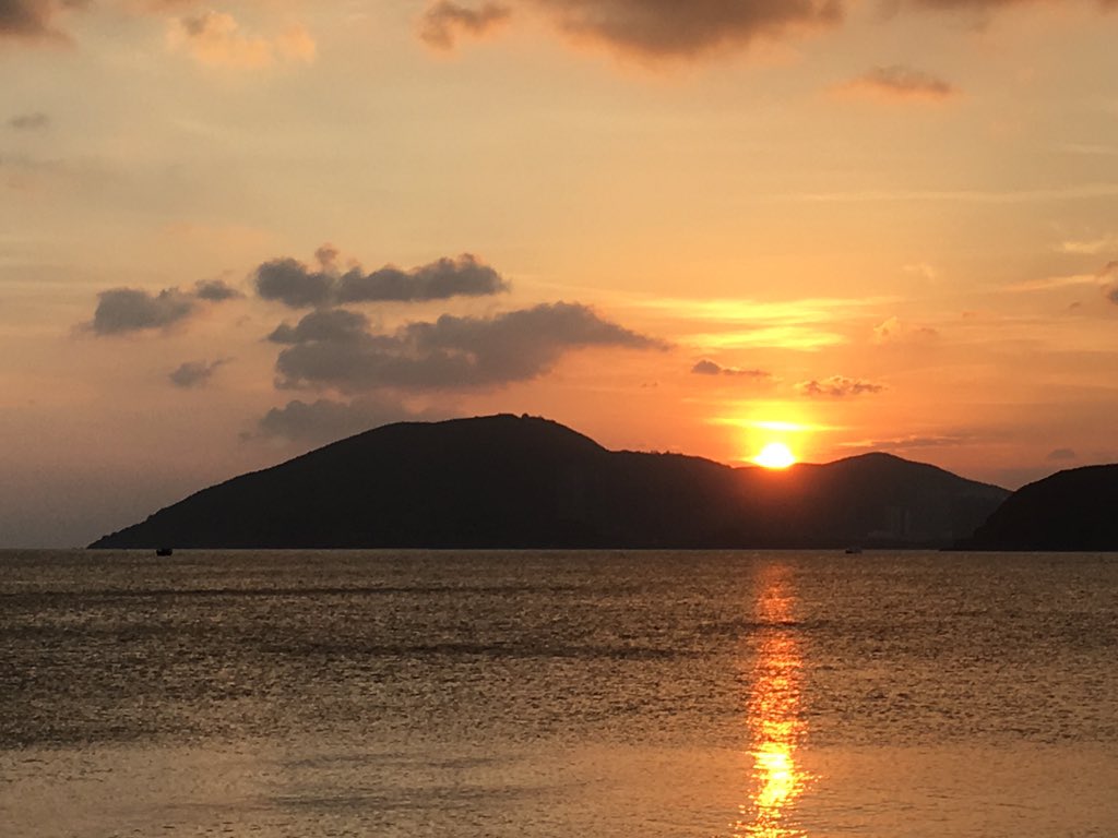 Guia Sciortino tweet media