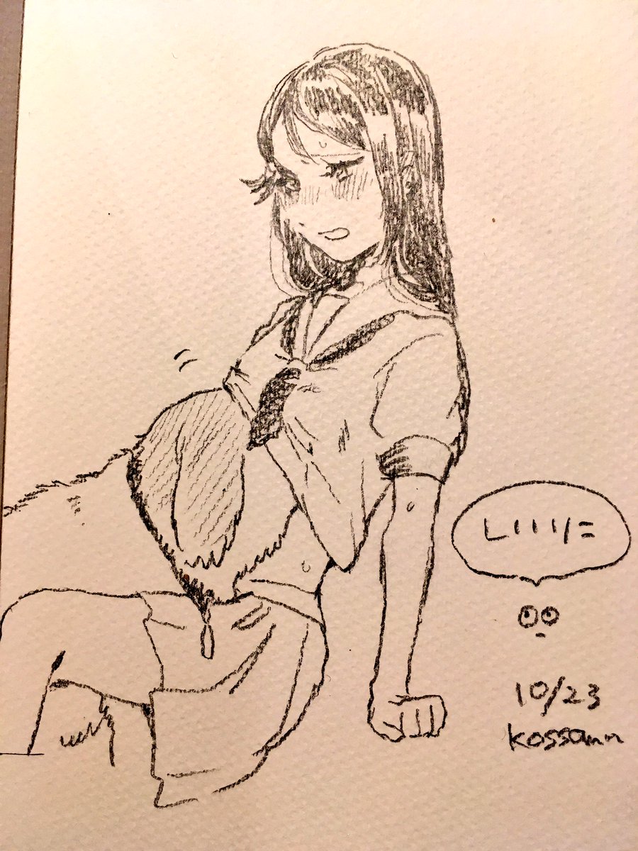 スケッベブックもらいました 
