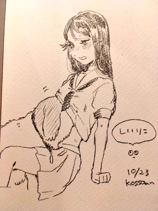スケッベブックもらいました 