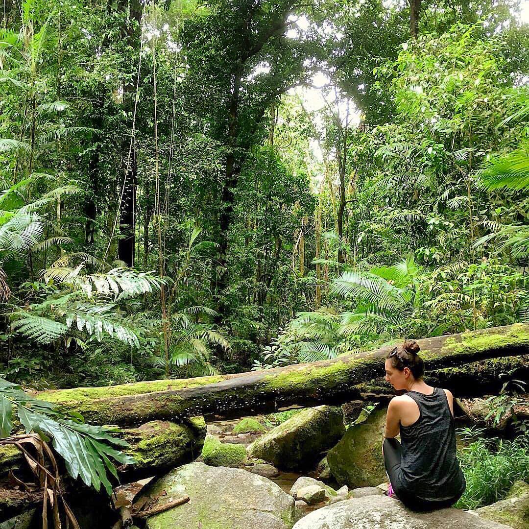 Getting lost in the hearted the Daintree with <a href="/walk/">Luis</a>.in.the.world on Insta 🍃 #Daintree