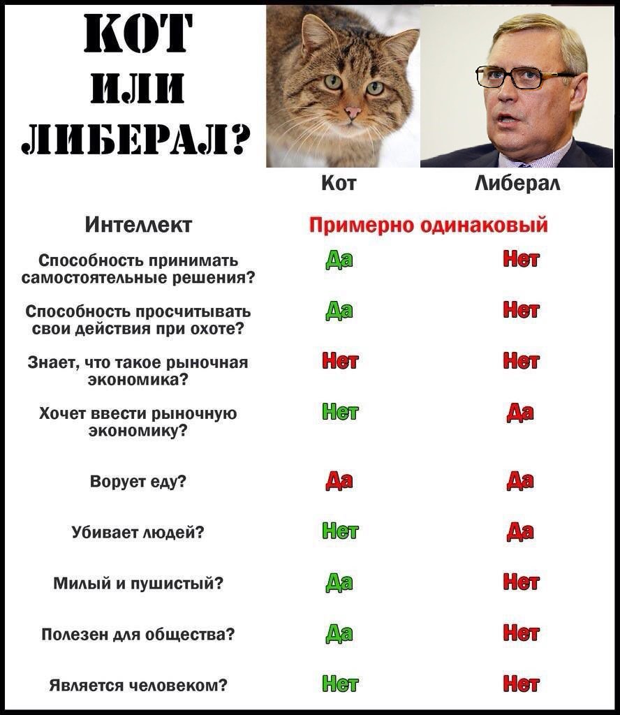 "Мы с котами в мире живём, а вот либералов надо как тараканов выводить или, по крайней мере, выгонять из квартиры"