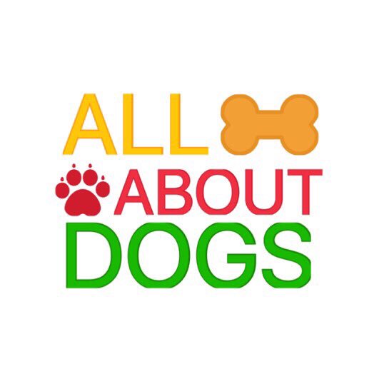 Dogs__Rule's tweet image. Welcome To My Twitter!👑 My Name Is Rianna🌙 I Hope You Enjoy My Tweets!🍓 Pls Follow My Dog @Katie_Da_Doggie🌻 #FirstTweet