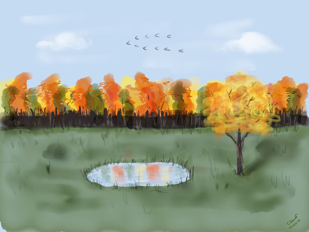 Carolef45's tweet photo. Fall Colours @FiftyThree @ThePaperboard https://t.co/A9doGdzzPu
