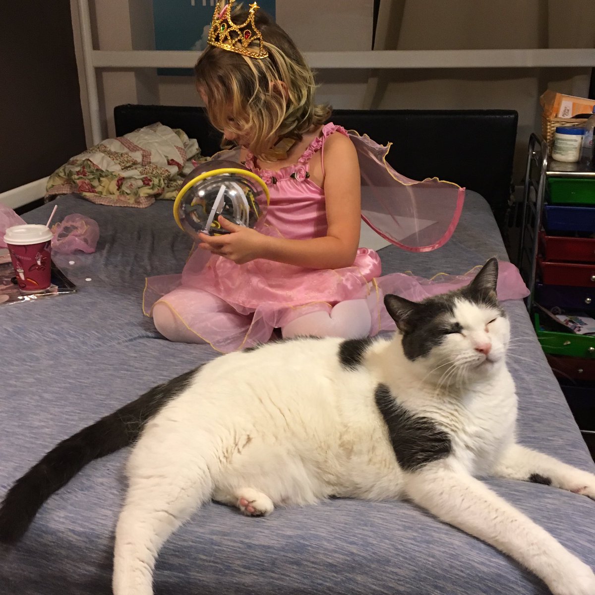 miklevin's tweet image. #Perplexus realization: It&apos;s a Möbius strip.