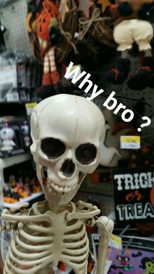 crazylifefacts_'s tweet photo. I should not be laughing this hard😂💀 https://t.co/LJiJ65HYel