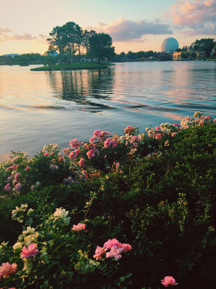 قل للذي نام والاحزان تخنقه ؛ 
وهمه في ظلام الليل يشقيه .. 
هوّن على قلبك المحزون .. 
إن له ربا سيملؤه نورا ويرويه ❤️