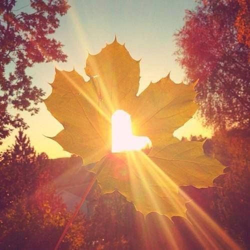 inspirevalley's tweet photo. Beauty is not in the face; beauty is a light in the heart

— Khalil Gibran https://t.co/sdhabywkUr