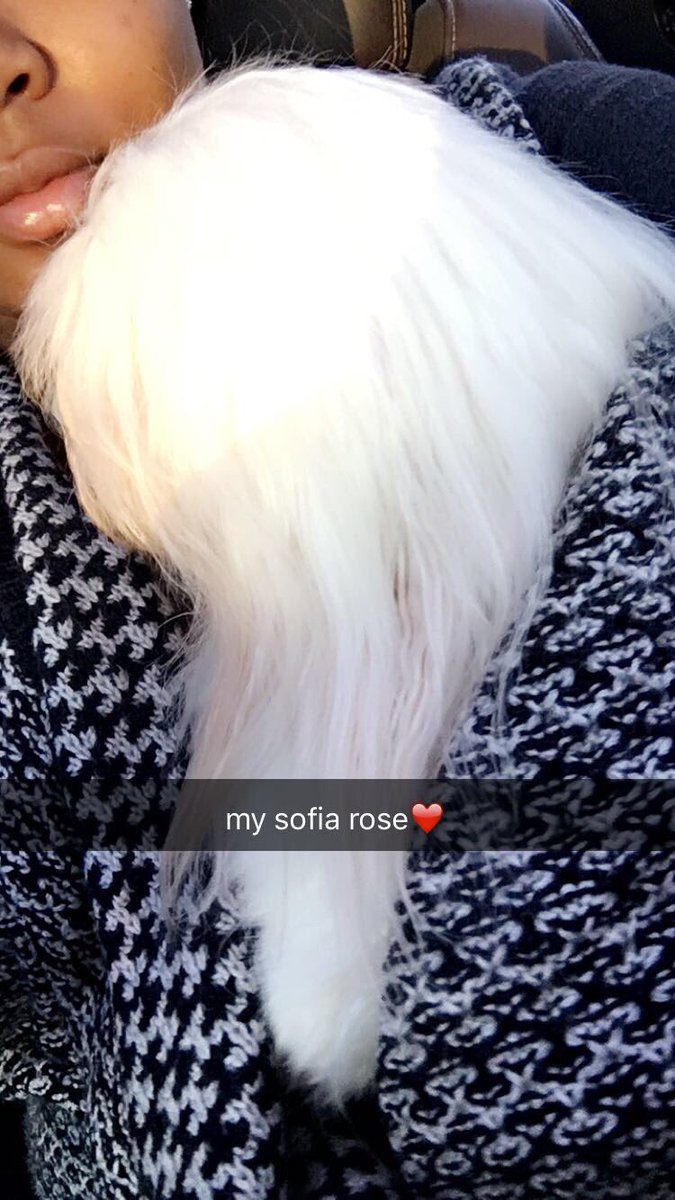 maipie__'s tweet photo. my new puppyโค๏ธ #secondpup https://t.co/Vex81Ohqal