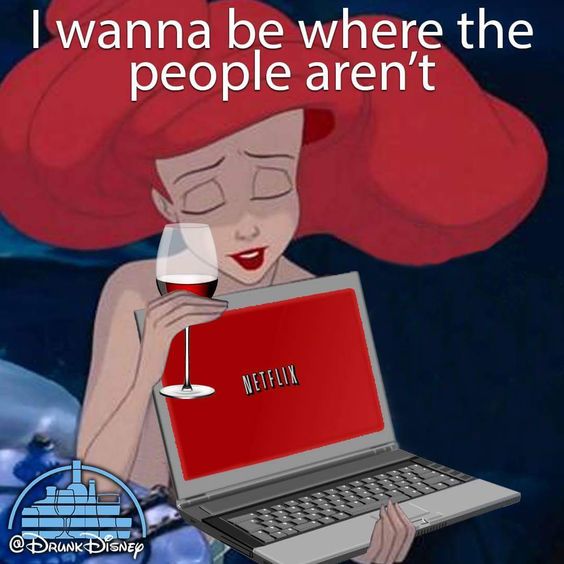 FierceEverAfter's tweet photo. My Saturday night #netflixandavoidpeople https://t.co/jTGmxpwwT7
