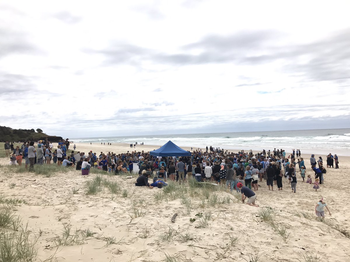 OzEcology's tweet photo. Lighthouse Beach Ballina. We say no to shark nets!! https://t.co/DpRRoT5I0F