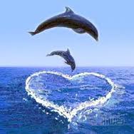 WebsterPresby's tweet photo. Join us at 10:10 Sunday morning in the Fellowship Hall to hear about dolphin rescue on the Texas coast. Great environmental series! https://t.co/pU03KNlyCN