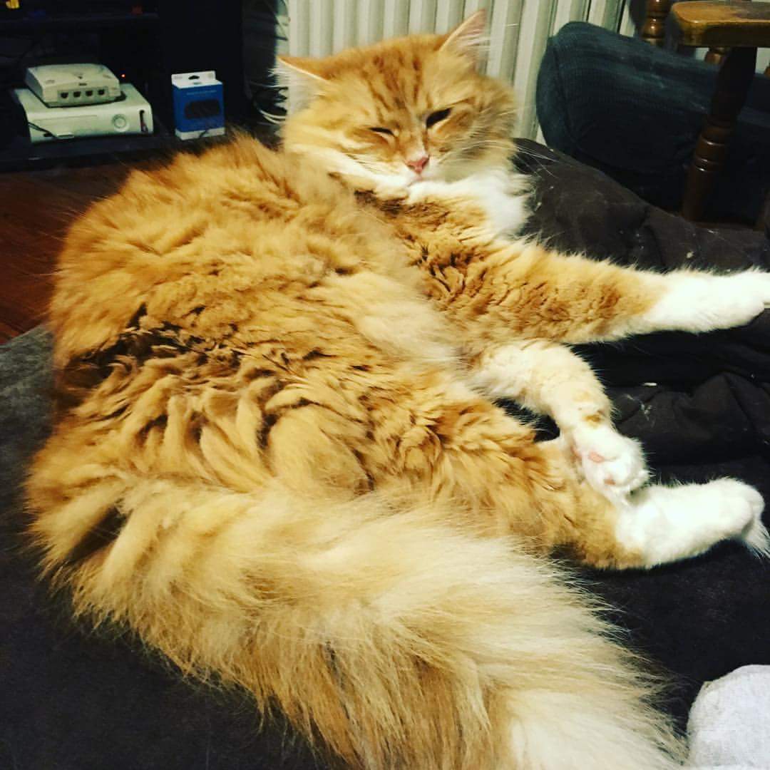 Linktm's tweet photo. Why aren't my parents home and snuggling in bed with me? #2016LifeChangers https://t.co/w60YSzzhsv