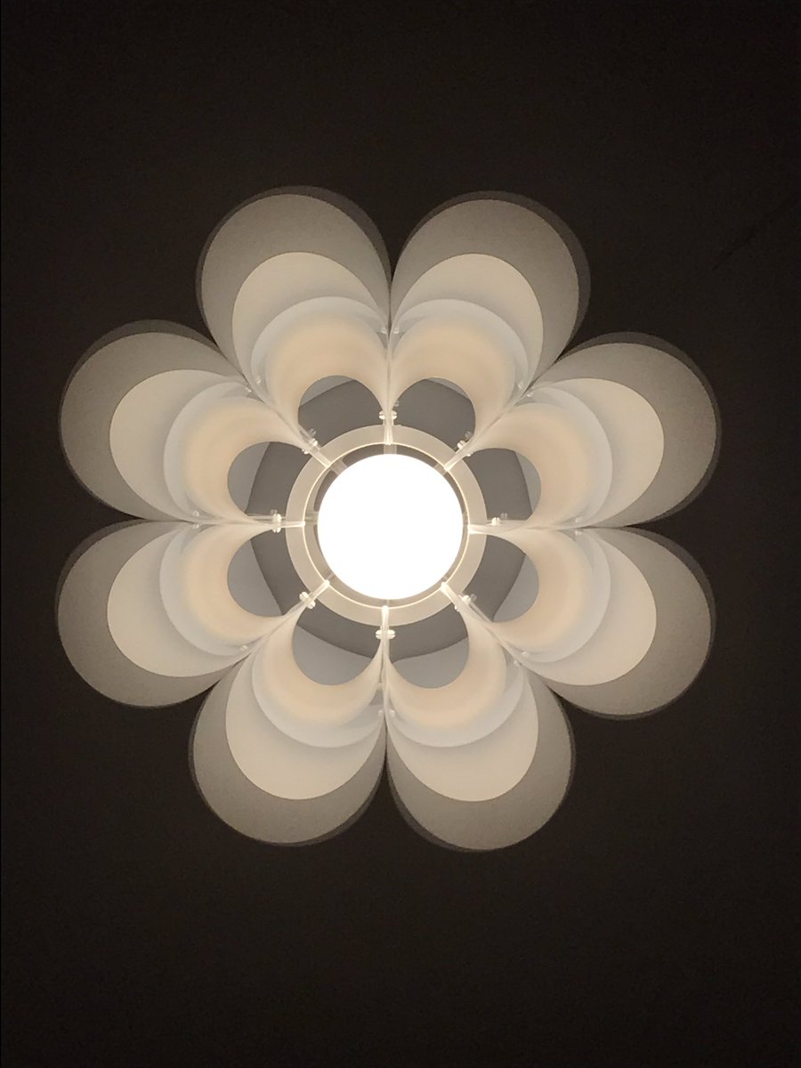 Broo Temple tweet media