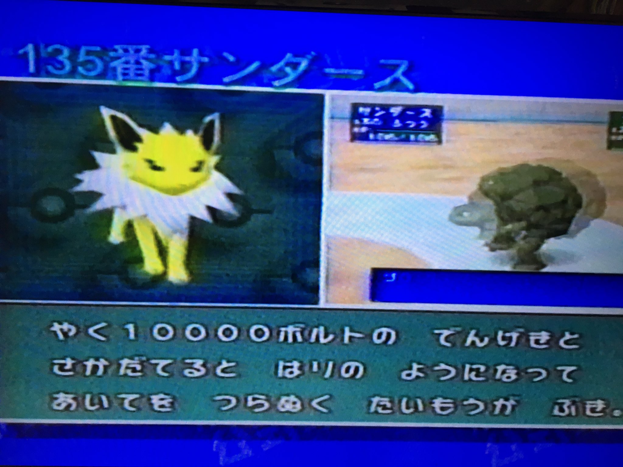 ヒロ Pa Twitter 公式攻略ビデオのポケモン紹介で強いポケモンは褒めちぎり 弱いポケモン は徹底的にディスる説明がヒドいw 例 イーブイからの3進化で最も実力のあるポケモンはこのサンダース に対してイーブイからの3進化であまり選択しないのがブースター 炎タイプ