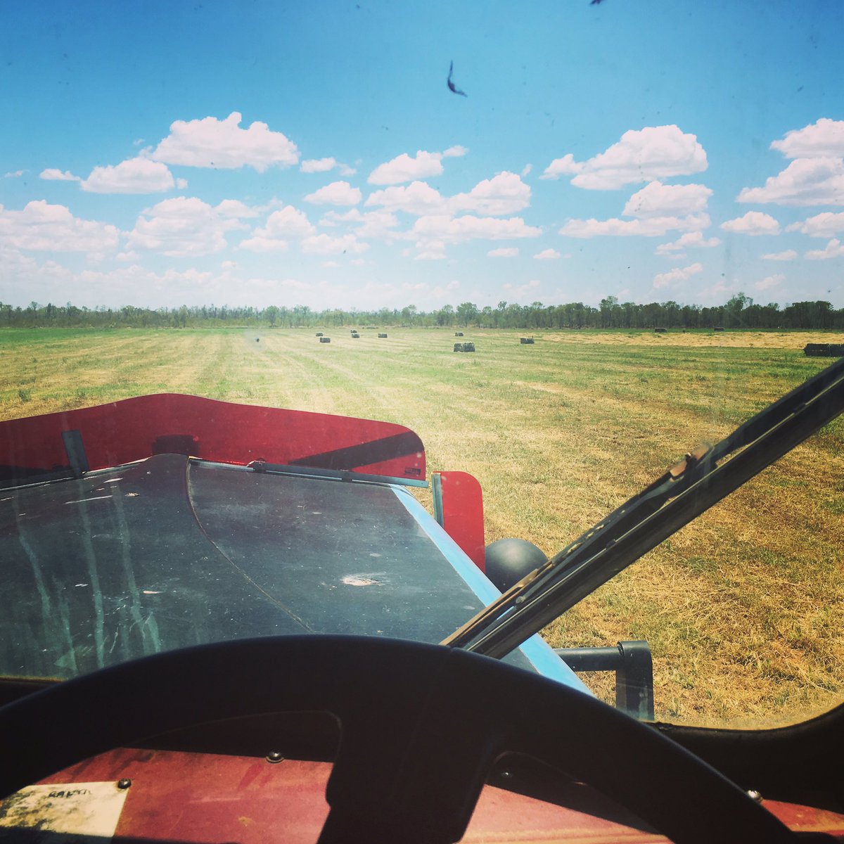 CaitMills18's tweet image. Bale &apos;M then cart&apos;m #wmodel #kenworth #candoitall