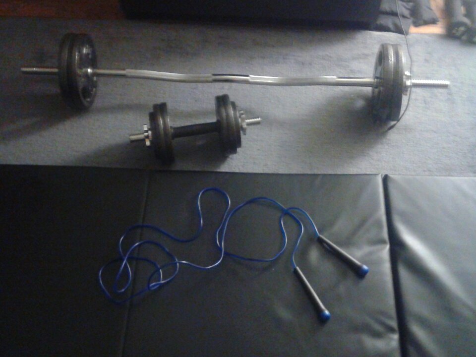 pfair86's tweet photo. @ripley720 sorry for responding right away. I did do the 30 push ups along and used my toys do follow up with more exercises. https://t.co/RT7GPCYzFB