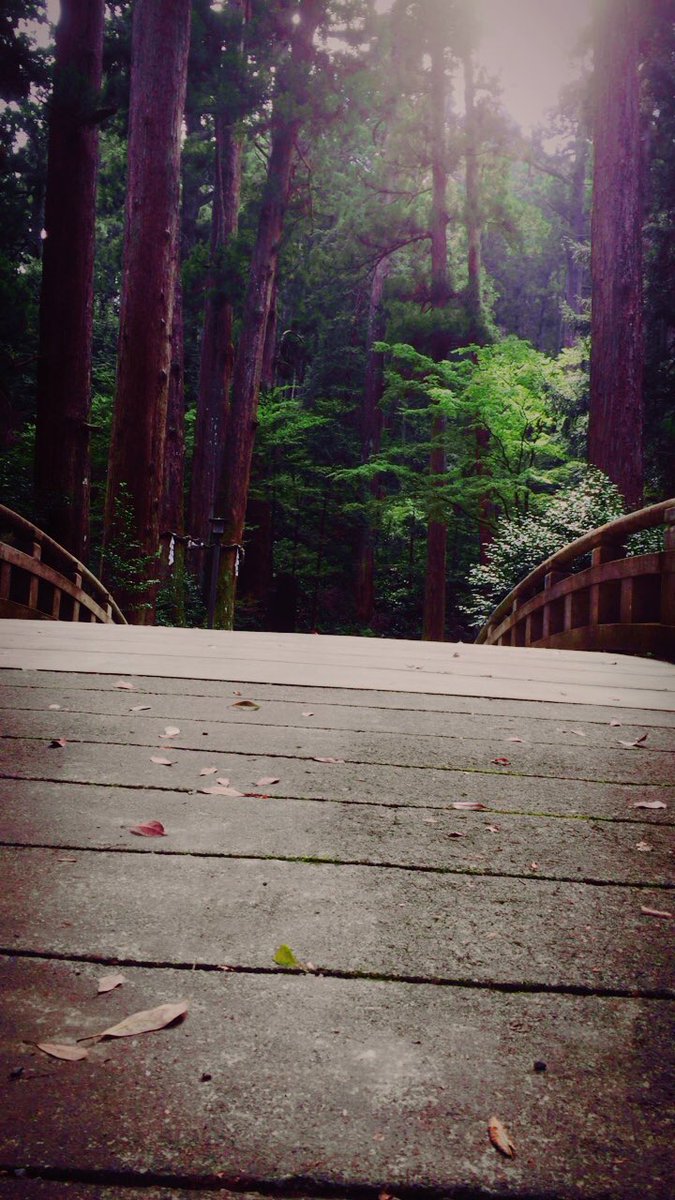 空気が良いです😁👍