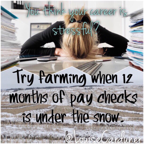 Canada's Grain tweet media