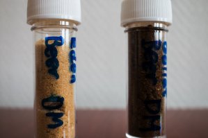 AZ_Nordic_News's tweet photo. Danish #brewery develops instant #beer powder. https://t.co/0RmqZh8iBx #Øl #Copenhagen #Pilsner #Palcohol #To Øl #FreezeDrying https://t.co/8CkAwaLHeV