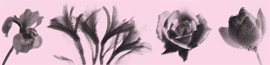 DSMatarozzo's tweet image. @ArtissimaFair #linkpreview #MainSection with @GalleriaArtiaco, @BendanaPinelArt, @brandnewgall, @BravermanTLV designsongsmovie.blogspot.it/2016/10/artiss…