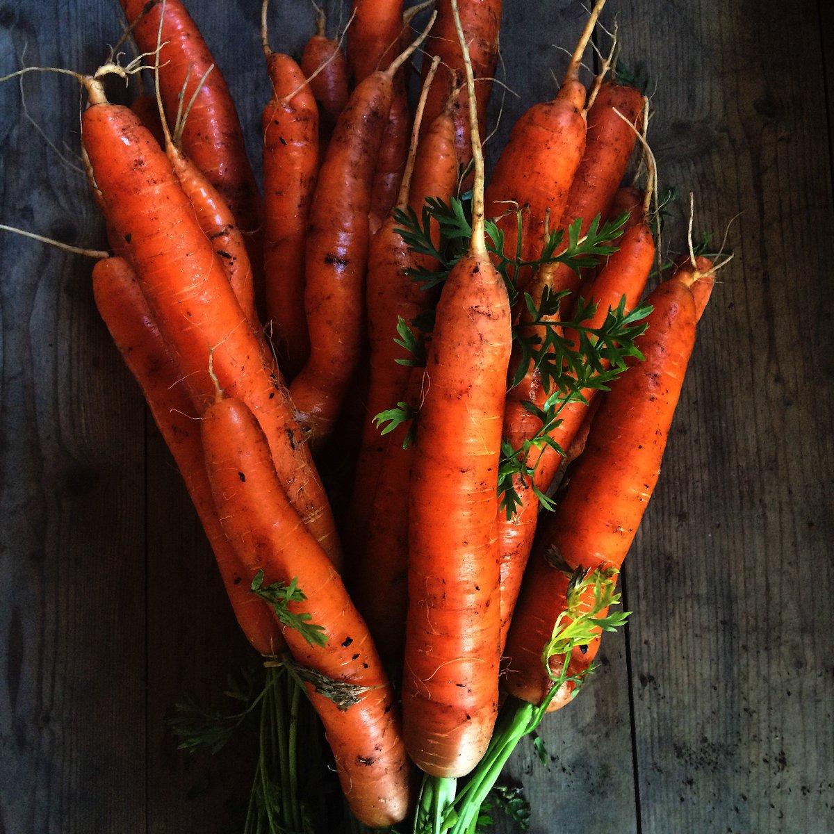 GoldhillOrganic's tweet photo. 🎃Surprising new seasonal treats in our delicious Dorset veg boxes: https://t.co/iWFwN9AmDX #shoplocal https://t.co/01q23M6OBP