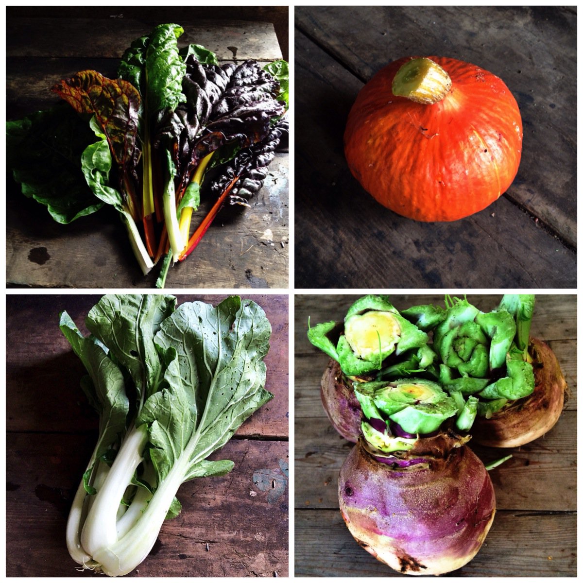 🎃Surprising new seasonal treats in our delicious Dorset veg boxes: eepurl.com/clhh4H #shoplocal